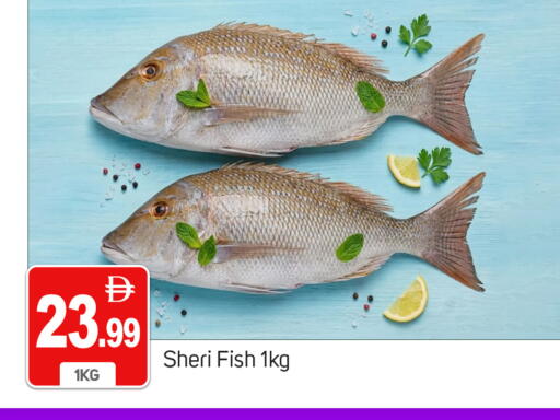 available at TALAL MARKET in UAE - Dubai