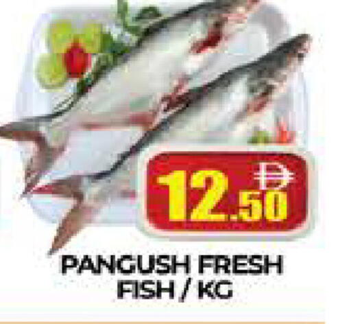available at AL MADINA (Dubai) in UAE - Dubai