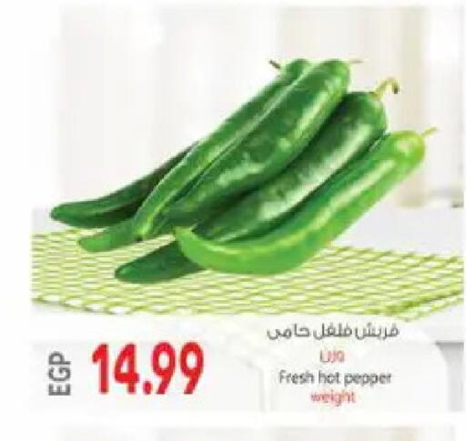 Pepper available at El.Husseini supermarket  in Egypt - Cairo