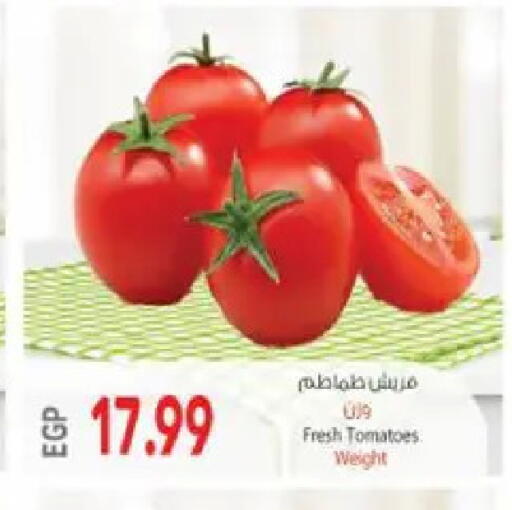 Tomato available at El.Husseini supermarket  in Egypt - Cairo