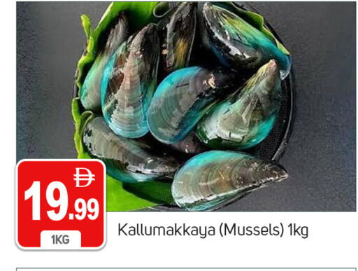 available at TALAL MARKET in UAE - Dubai