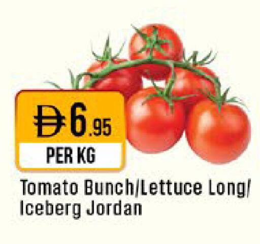 Tomato Lettuce from Jordan available at West Zone Supermarket in UAE - Dubai