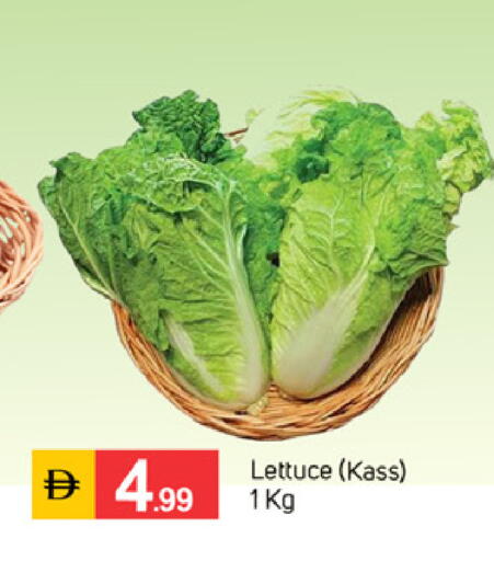 Lettuce available at TALAL MARKET in UAE - Dubai