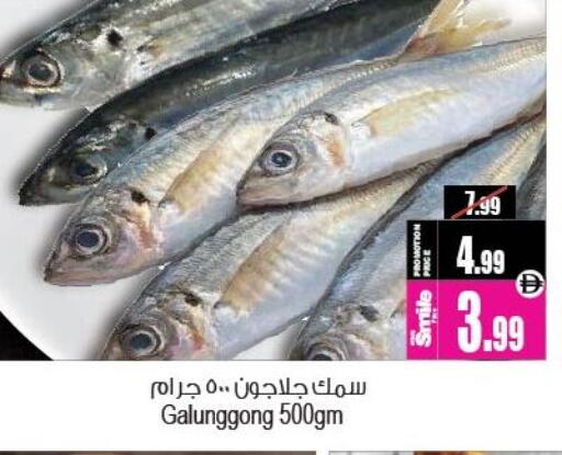 available at أنصار جاليري in الإمارات العربية المتحدة , الامارات - دبي