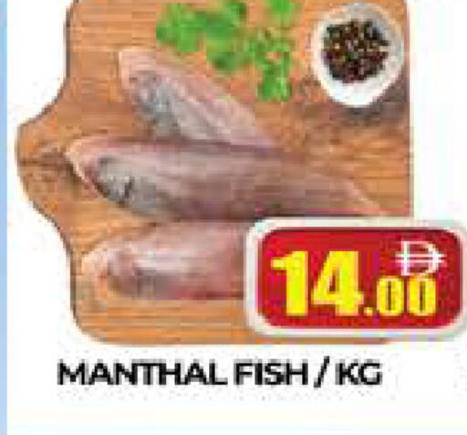 available at AL MADINA (Dubai) in UAE - Dubai