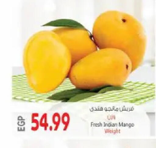 Mango from India available at El.Husseini supermarket  in Egypt - Cairo
