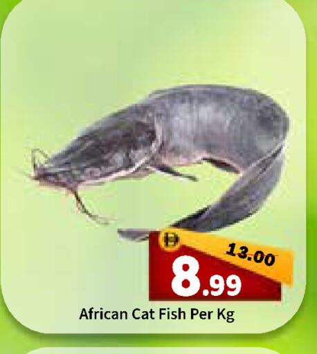 available at رويال جلف هايبرماركت in الإمارات العربية المتحدة , الامارات - أبو ظبي