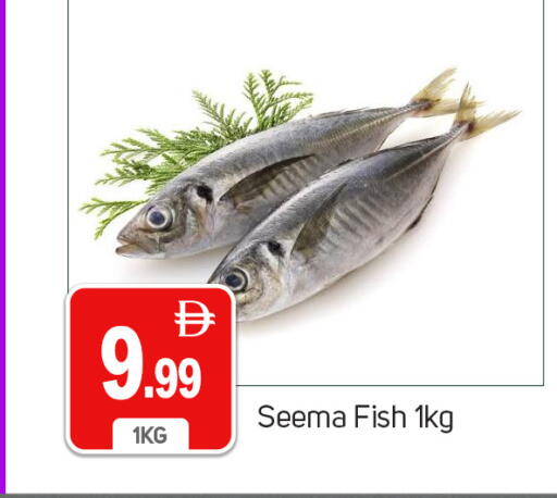available at TALAL MARKET in UAE - Dubai