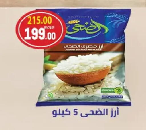 available at Galhom Market in Egypt - Cairo