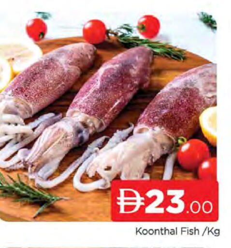 available at AL MADINA (Dubai) in UAE - Dubai