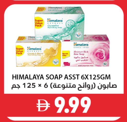 Cucumber available at Best Coop Discounts Hypermarket in UAE - Dubai