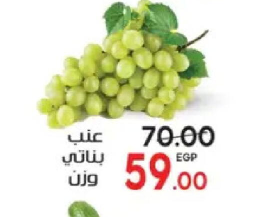 available at Galhom Market in Egypt - Cairo