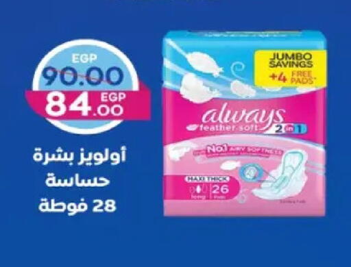 available at Galhom Market in Egypt - Cairo