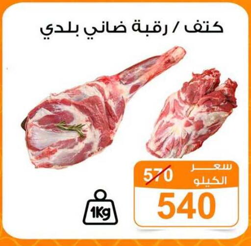 available at Gomla Market in Egypt - Cairo