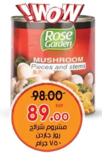 Mushroom available at Galhom Market in Egypt - Cairo