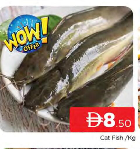available at AL MADINA (Dubai) in UAE - Dubai