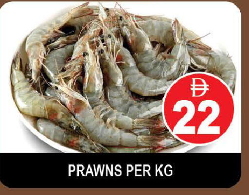 available at AL MADINA (Dubai) in UAE - Dubai