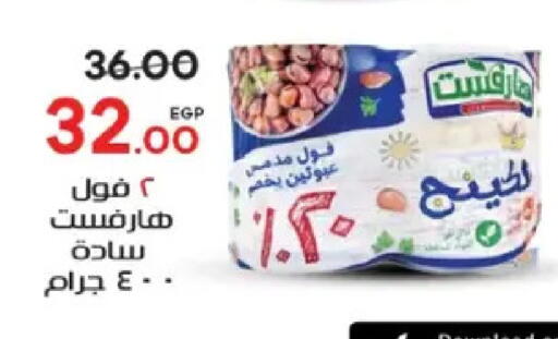 available at Galhom Market in Egypt - Cairo
