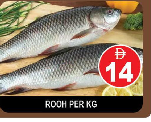 available at AL MADINA (Dubai) in UAE - Dubai
