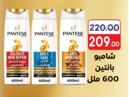 available at Galhom Market in Egypt - Cairo