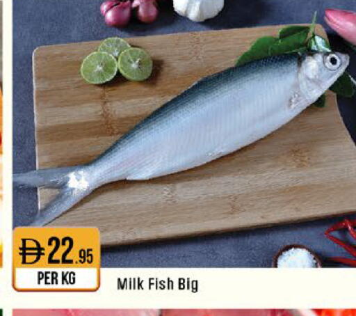 available at West Zone Supermarket in UAE - Sharjah / Ajman