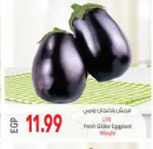 Eggplant available at El.Husseini supermarket  in Egypt - Cairo