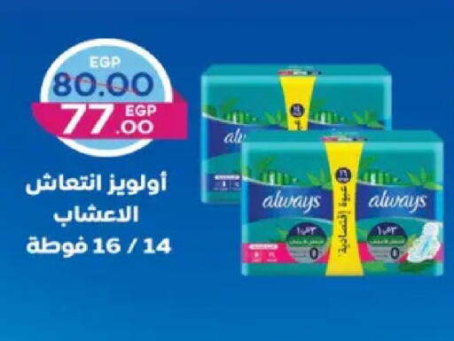 available at Galhom Market in Egypt - Cairo
