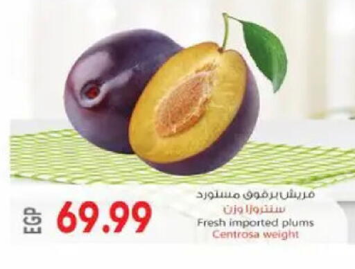 Plums available at El.Husseini supermarket  in Egypt - Cairo