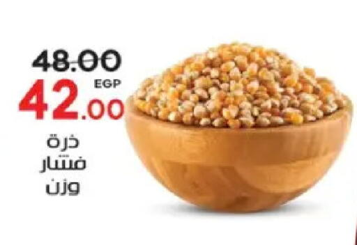 available at جلهوم ماركت in Egypt - القاهرة