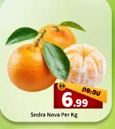 available at رويال جلف هايبرماركت in الإمارات العربية المتحدة , الامارات - أبو ظبي