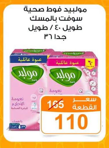 available at Gomla Market in Egypt - Cairo