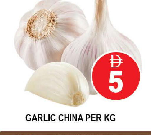Garlic from China available at AL MADINA (Dubai) in UAE - Dubai