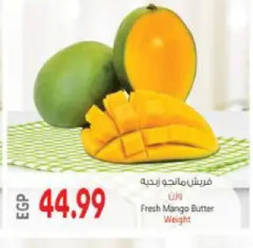 Mango available at El.Husseini supermarket  in Egypt - Cairo