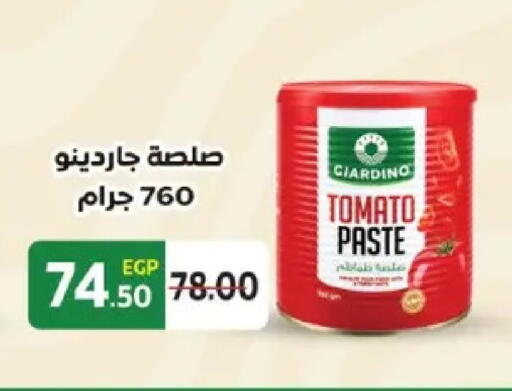 Tomato available at Galhom Market in Egypt - Cairo