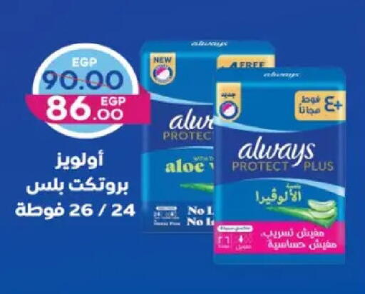 available at Galhom Market in Egypt - Cairo