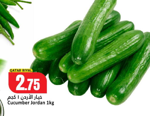 Cucumber from Qatar Jordan available at دانة هايبرماركت in قطر - الشمال