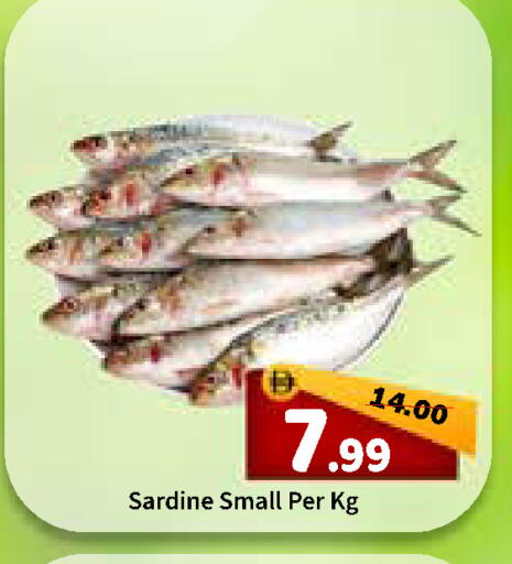 available at رويال جلف هايبرماركت in الإمارات العربية المتحدة , الامارات - أبو ظبي