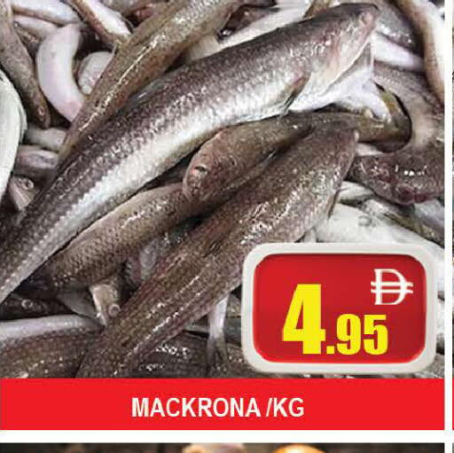 available at AL MADINA (Dubai) in UAE - Dubai