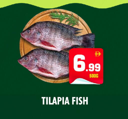 available at NIGHT TO NIGHT DEPARTMENT STORE in UAE - Dubai