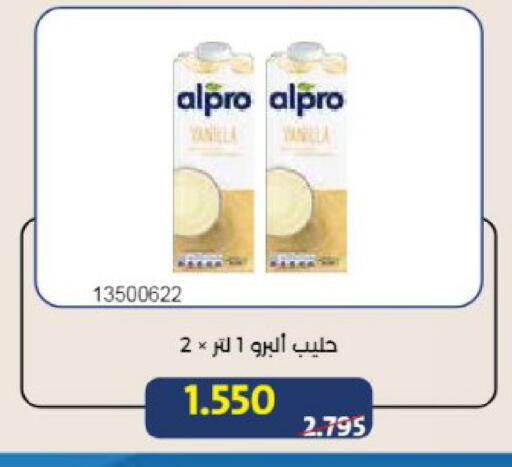 Vanilla available at Mishref Co-Operative Society  in Kuwait - Kuwait City