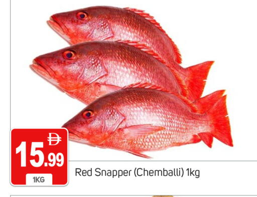 available at TALAL MARKET in UAE - Dubai