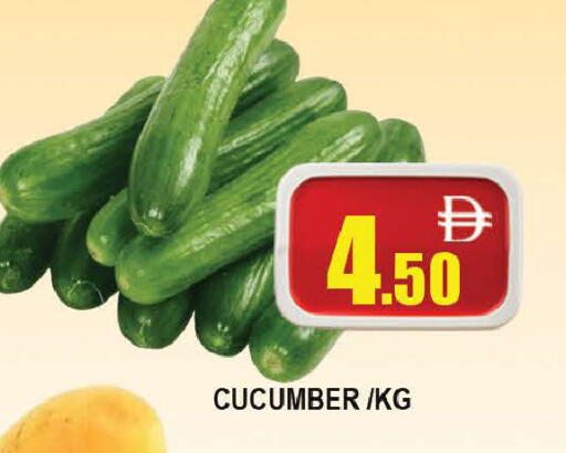 Cucumber available at AL MADINA (Dubai) in UAE - Dubai