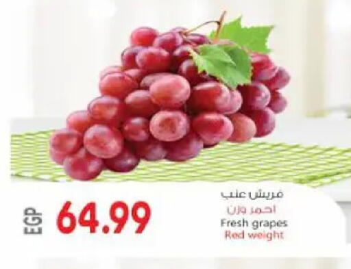 Grapes available at El.Husseini supermarket  in Egypt - Cairo