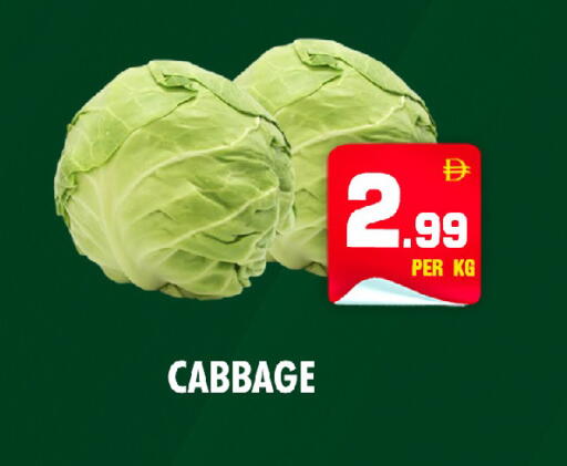 Cabbage available at NIGHT TO NIGHT DEPARTMENT STORE in UAE - Sharjah / Ajman