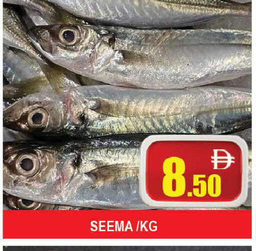 available at AL MADINA (Dubai) in UAE - Dubai