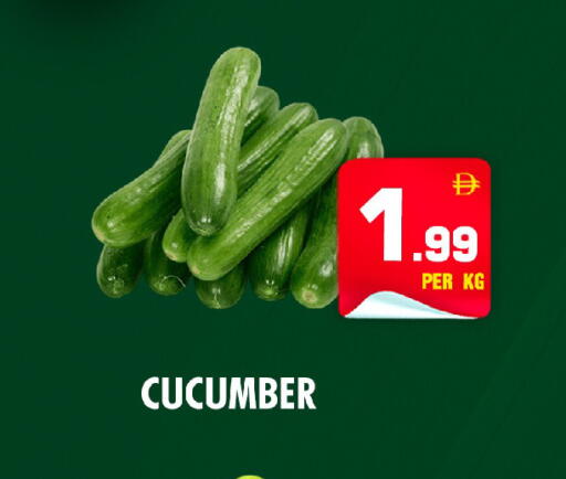 Cucumber available at NIGHT TO NIGHT DEPARTMENT STORE in UAE - Sharjah / Ajman