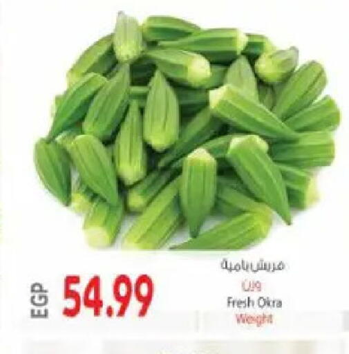 Okra available at El.Husseini supermarket  in Egypt - Cairo