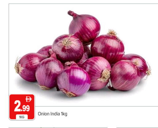Onion from India available at TALAL MARKET in UAE - Dubai