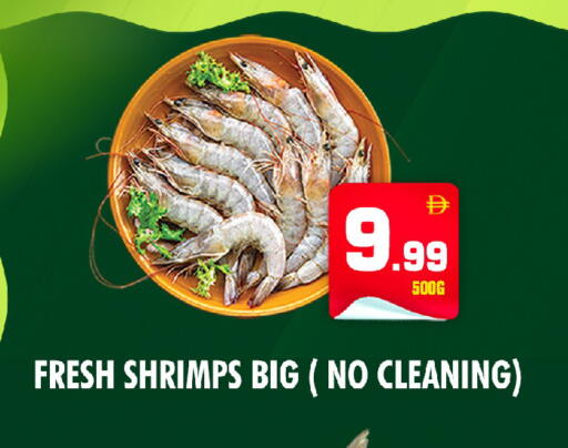 available at نايت تو نايت in الإمارات العربية المتحدة , الامارات - دبي