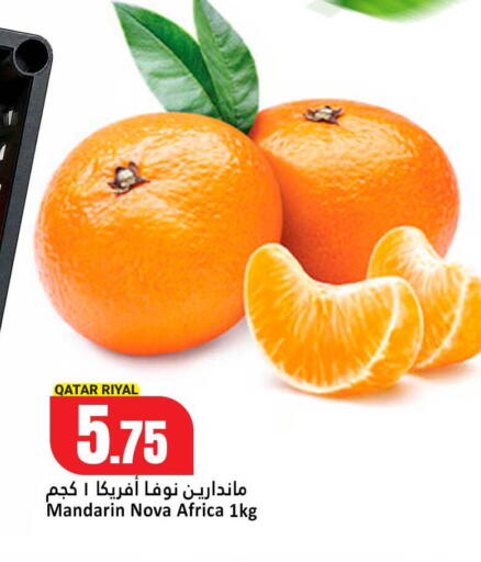 Mandarin from Qatar available at دانة هايبرماركت in قطر - الشحانية
